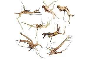 kathson Aquarium Driftwood Reptile Branches Wood Natural Spiderwood Driftwood for Aquarium 5-6" 7 Pcs Terrarium Ornament Trunk Fish Tank Log Habitat Decoration Tree Stump Decor Assorted Sizes Wood