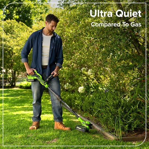 24V Brushless Grass Trimmer Gen2 2-in-1 für kleine bis mittlere Gärten, 30 cm Schnittbreite, mit 10 Kunststoffklingen – ohne Akku und Ladegerät, Grün ST3002