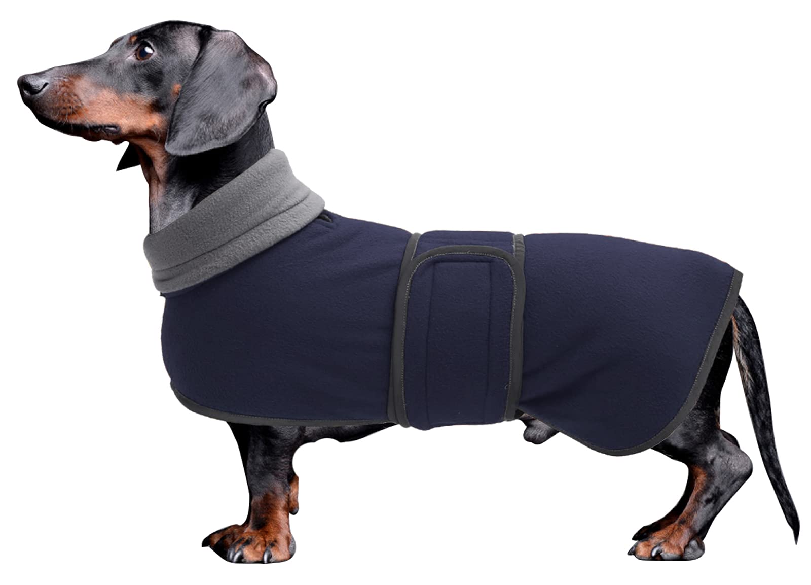 Morezi Dog coats costume, perfect for dachshunds, dog winter coat with padded fleece lining and high collar, dog snowsuit with adjustable bands - Navy - M