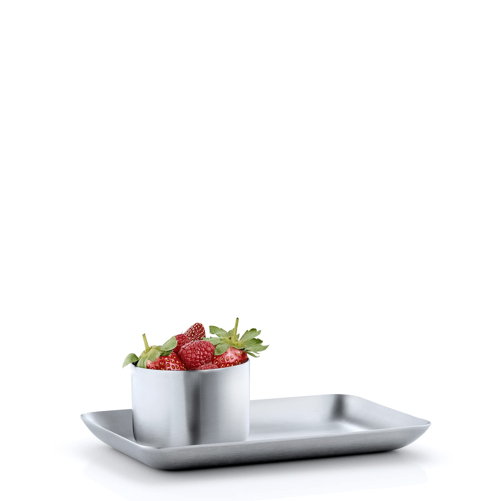 blomus "BASIC Matt Brushed Tray, Stainless Steel, 10 x 17 cm
