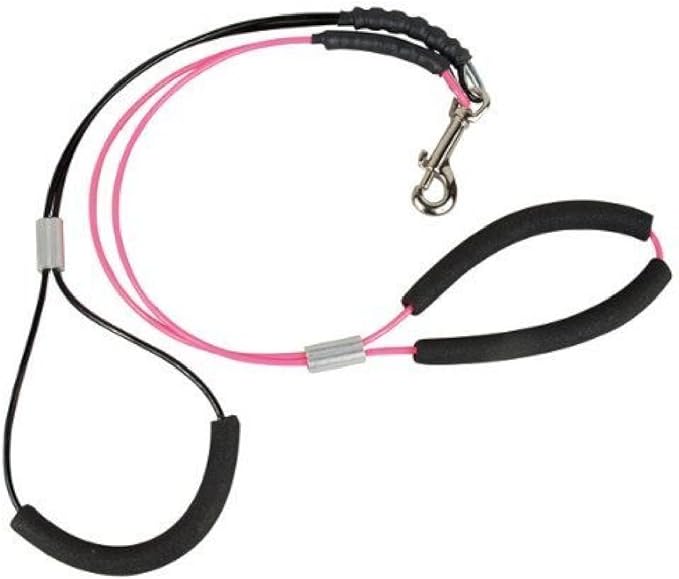 dog grooming restraint equipment