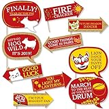 Funny Chinese New Year - 2019 Year of The Pig Photo Booth Props Kit - 10 Piece
