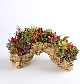 Amazon Co Jp ジューシーな樹脂植木鉢シミュレーション木の根大きいサイズ家の緑の植物の装飾品 黄色 ワンサイズ スポーツ アウトドア Amazon Co Jp ジューシーな樹脂植木鉢シミュレーション木の根大きいサイズ家の緑の植物の装飾品 黄色 ワンサイズ スポーツ アウトドア