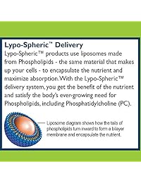 lypo-spheric acetilo L-CARNITINE, 0,2 fl oz. – 30 paquetes | 1.000 mg acetilo L-CARNITINE...