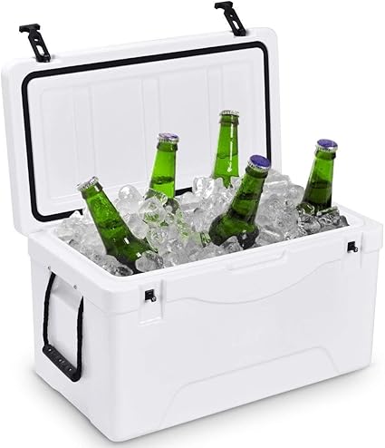 insulated portable beverage cooler