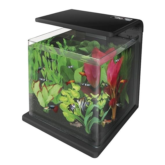 SuperFish Wave 30 Schwarz