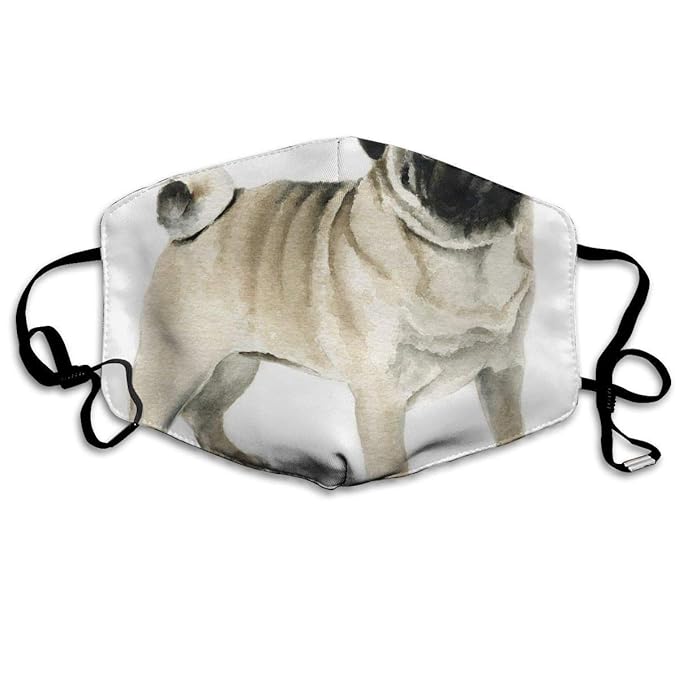 WBinHua Masken für Erwachsene, Mask Face, Mouth Mask, Breathable Mask Anti Dust, Unisex Big Pug Dog Printed Cotton Mouth-Mask