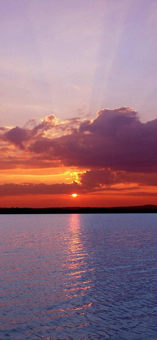 PeelitStickit, Beautiful Nature Wall Murals, ID-1424, vinyl