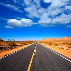 AOFOTO 8x8ft Desert Road Backdrop Historic Route 66