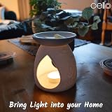 Cello Special Friend Woodlands Tealight Wax Melt Oil Burner Porcelain view 9