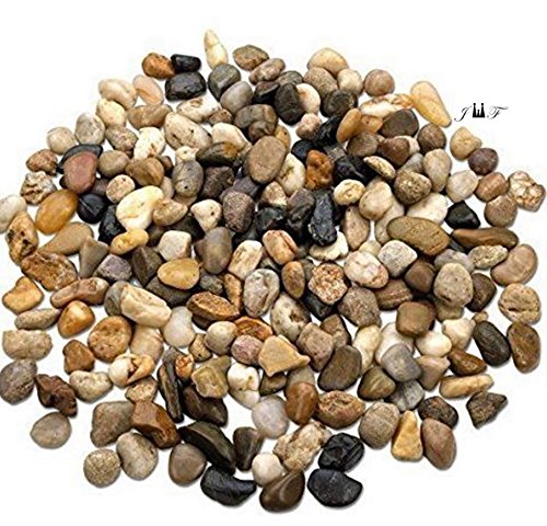 2 Pounds River Rock Stones - Natural Polished, Pebbles, Outdoor Decorative Stones, Natural Gravel, For Aquariums, Landscaping, Vase Fillers, Succulent, Tillandsia, Cactus pot, Terrarium Plants - Thumbnail 3