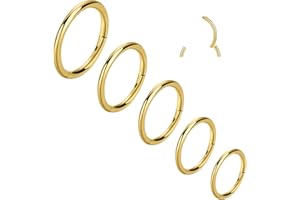 5-6Pcs Hypoallergenic Nose Rings 20G 18G 16G 316L Surgical Steel Earrings Tragus Septum Piercing Nose Hoop Lip Rings Helix Ca