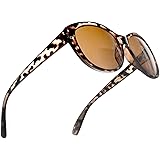 Reader Sunglasses for Women Bifocal for Reading Under the Sun Cateye Glasses