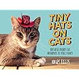 Tiny Hats on Cats: Because Every Cat Deserves to Feel Fancy