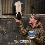 Hilton Herbs Herballs 2kg Horse Treats 100% Natural No Fillers UK view 6