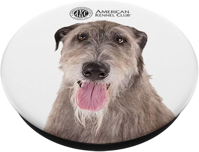 akc irish wolfhound