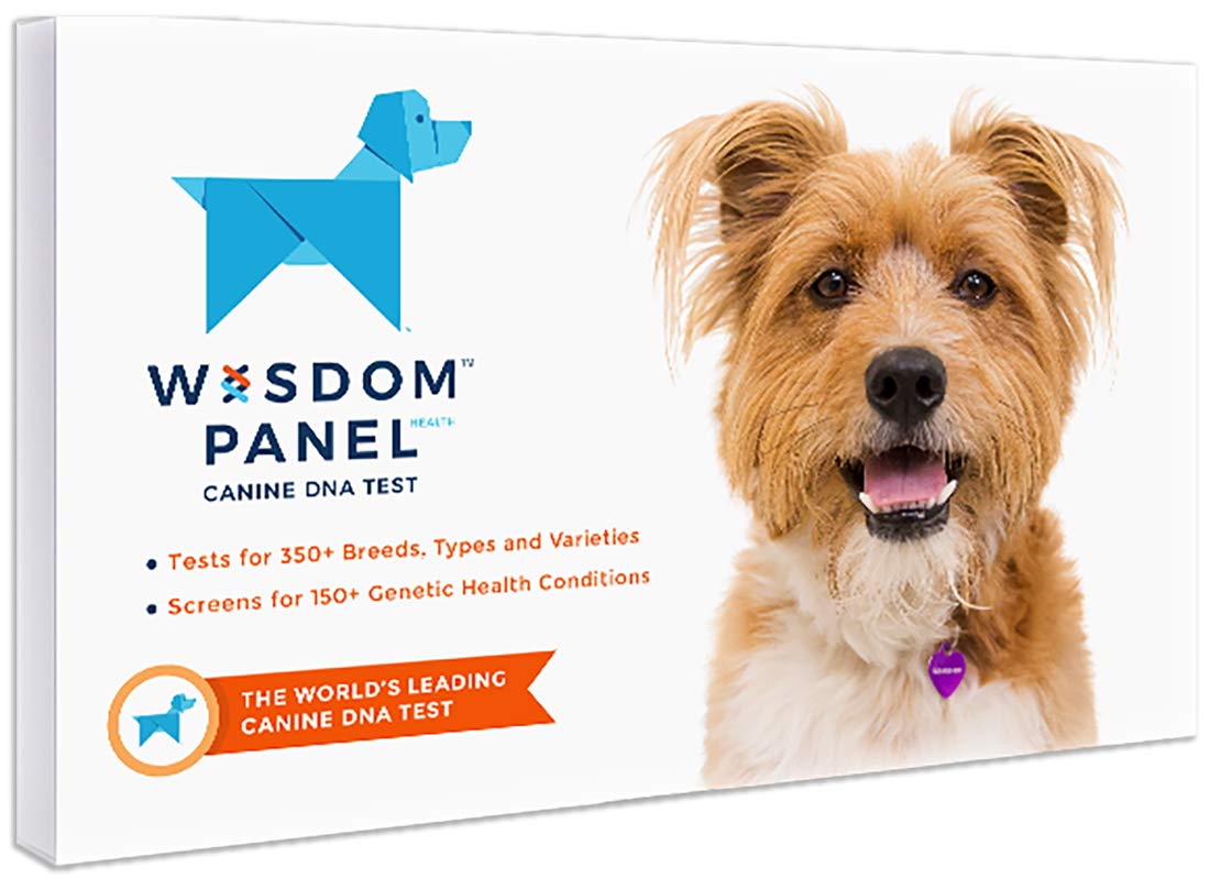 Wisdom Panel Health Canine DNA Test Canine Health Test Kit for Dogs 896285002323 eBay
