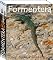 Livro Formentera (150 imagens)
