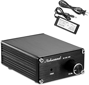 Nobsound 100W Subwoofer Amplifier Digital Power Sub Amp Audio Mini Bass Amp with Power Supply (Black)