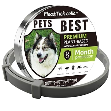 Pet Paradise Waterproof Flea and Tick Prevention Collar with Plant-Based Formula for Dogs and Cats (Grey, Universal Size)