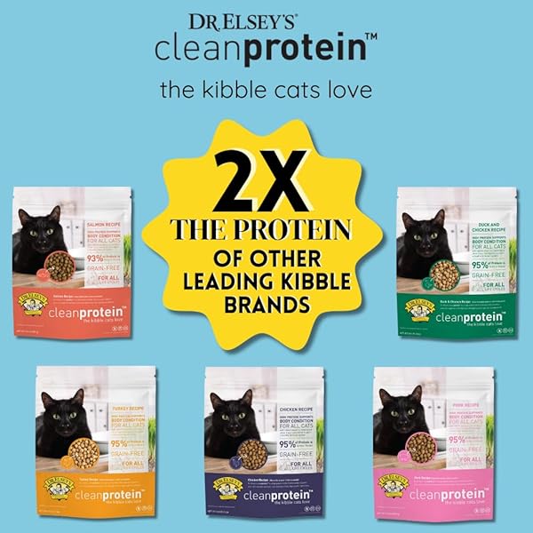 DR. ELSEY’S CLEANPROTEIN DRY KIBBLE DUCK 6.6 LB BAG