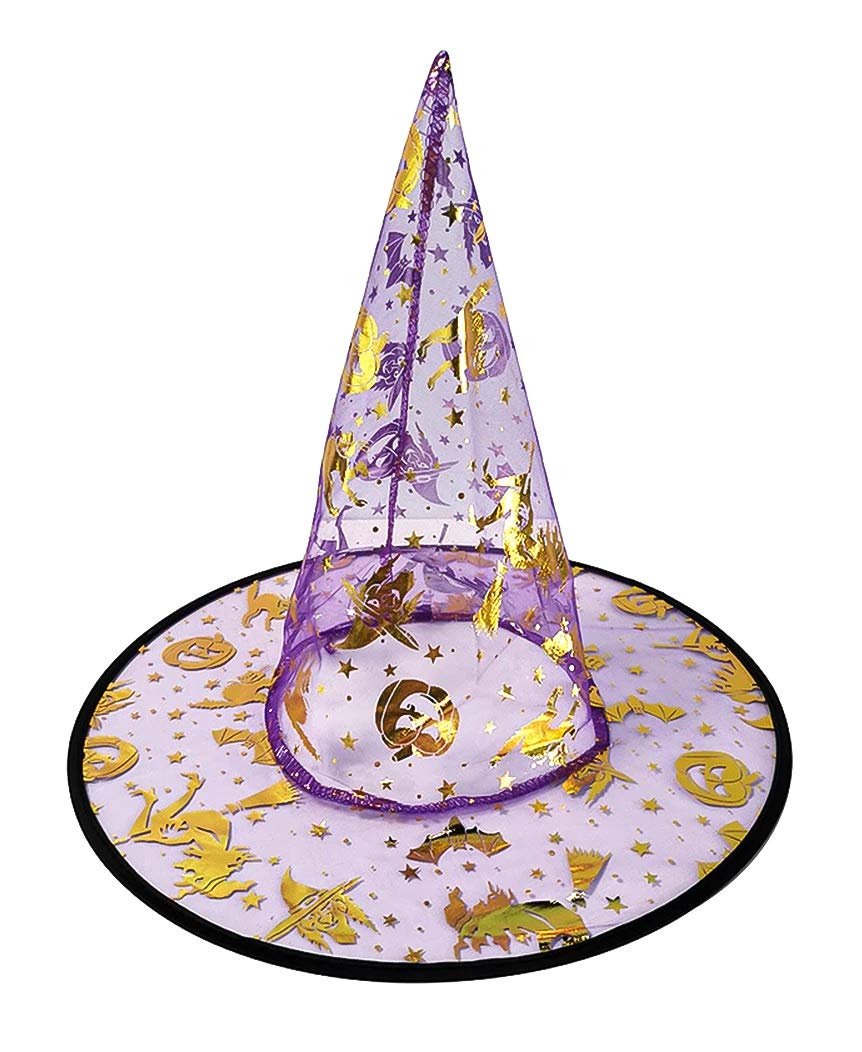 Lovelegis Witch's Hat – Transparent – Carnival – Halloween – Women – Men – Pumpkins – Cats – Accessories – Fancy Dress – Purple with Silver and Gold Decorations – Reversible