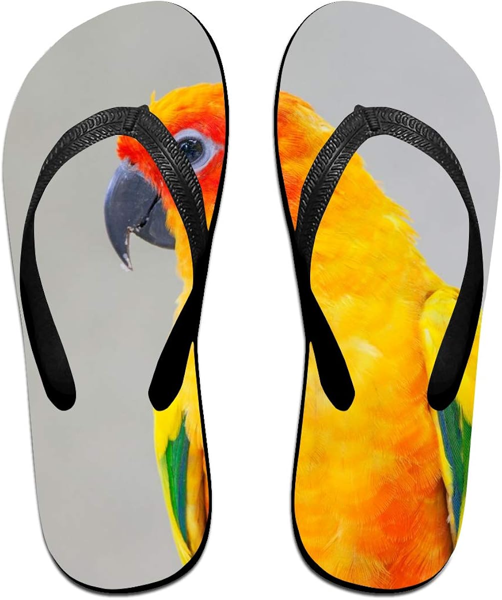 animal flip flops ladies