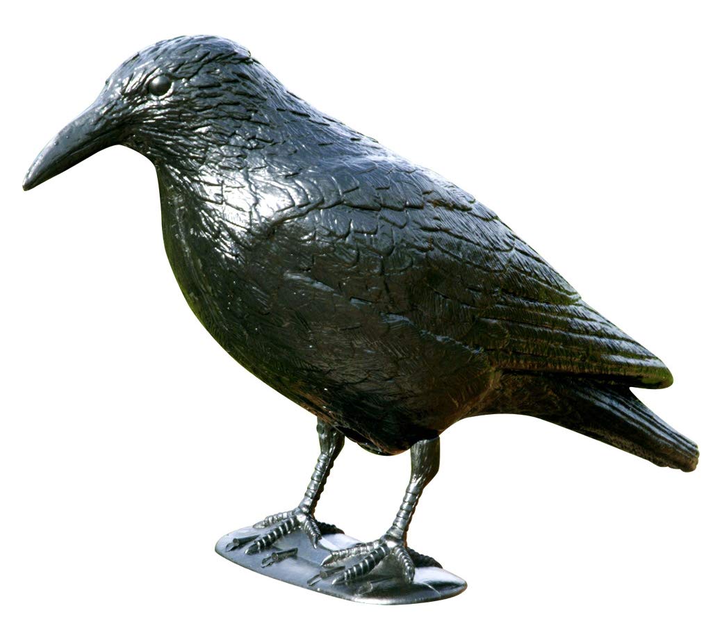Windhager Garden Figurine Raven, Pigeon Repellent Plastic, Natural Pest Control, Protection Against Pesky Birds, Crow, Pigeon Deterrent, 37 cm, 07117, Black