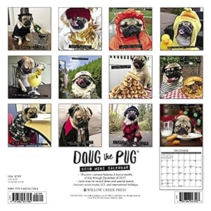 Doug the Pug 2018 Mini Wall Calendar