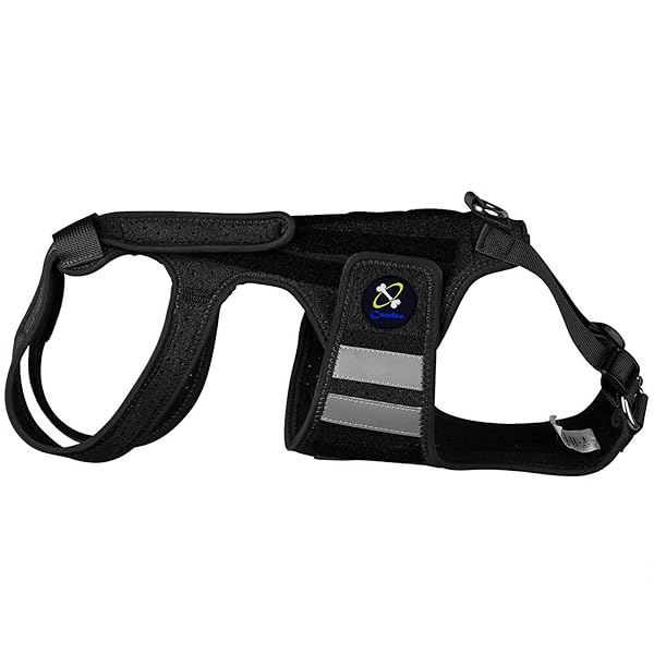 COODEO DOG BACK BRACE FOR DOGS ARTHRITIS, PET BACK BRACER FOR IVDD, BACK PROTECTOR HELPS PAIN RELIEF, SURGICAL RECOVERY AND REHABILITATION, DOGS BACK DISEASE PREVENTION. (BLACK,X-LARGE)