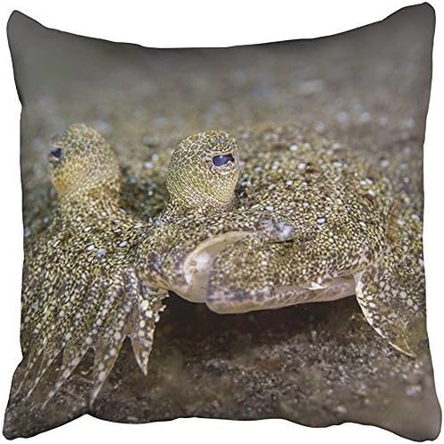 Pillow Covers Print Asia Peacock Flounder Bothus Mancus in the Lembeh Strait Bitung Bothidae Lunatus Camouflage Critter Polyester Zippered 18x18 Square Pillow Case For Home Bed Couch Sofa