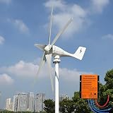FLTXNY POWER 800W Wind Turbine 5 Blades 12V / 24V / 48V with MPPT Charge Controller for Home Boat Farm (24, Volts)
