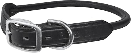 amazon rolled leather dog collar