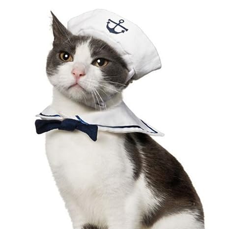 Namsan Katze hundekostüm Sailor Kostuem Hut Marine