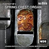 PORTRAIT OF A SPRING CHEST ORGAN                   image