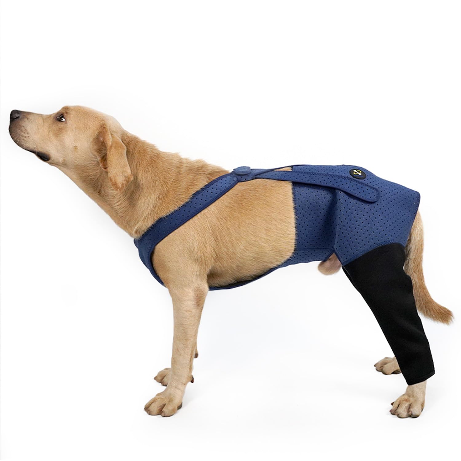 Photo 1 of Coodeo Dog Recovery Suit, Cone Alternative - Abrasion Resistant, Waterproof & Washable 2.5mm Thick Sleeves to Prevent Licking, Biting Wounds (Blue, L)