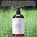 Laritelle Organic Unscented Shampoo Herbal Magic | Hair Loss Prevention, Clarifying & Strengthening | Rosemary & Saw Palmetto | NO GMO, Sulfates, Gluten, Alcohol, Parabens, Phthalates | Hypoallergenic