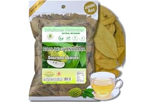 B-EXPERTS Guanábana Hojas (Soursop Leaves Tea) – Jumbo 4 oz – 100% Natural, Vegan, Non-GMO, Wildcrafted & Authentic – Caffeine-Free Herbal Tea – Makes 30+ Cups