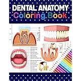 Dental Anatomy Coloring Book: Learn the Basics of Dental Anatomy. Dental Anatomy Coloring Book for Cute Children's, Kids, Boy