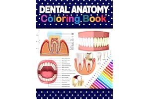 Dental Anatomy Coloring Book: Learn the Basics of Dental Anatomy. Dental Anatomy Coloring Book for Cute Children's, Kids, Boy
