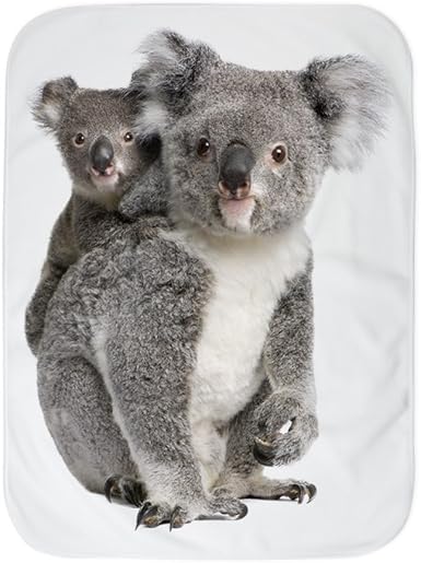 koala bear baby stuff
