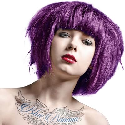 La Riche Directions Violet Semi-Permanent Hair Color 88ml Tub 2 Pack