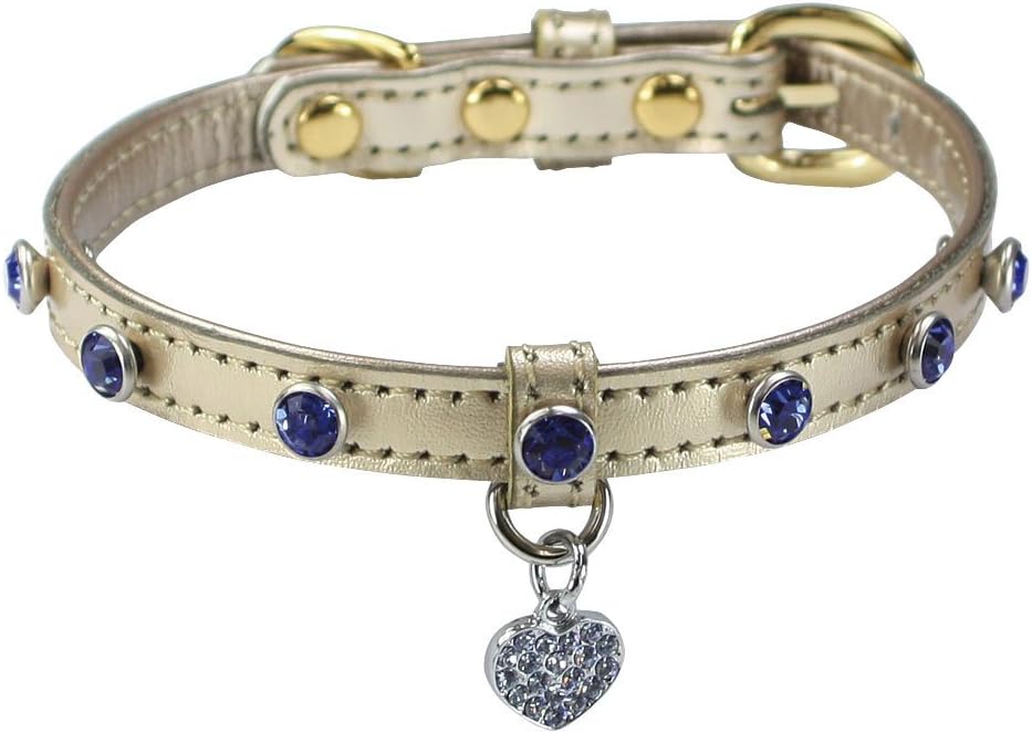 バーディ Birdie 660 Birdie バーディ 小型犬 猫用 本革首輪ウィンストンカラー サイズ21 首囲17 21cm 幅1 0cm ブルー バーディ Birdie ベーシック首輪 通販 Amazon