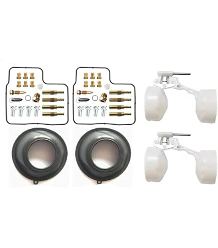 Amazon.com: All Balls Racing Carburetor Rebuild Kit 26-1671