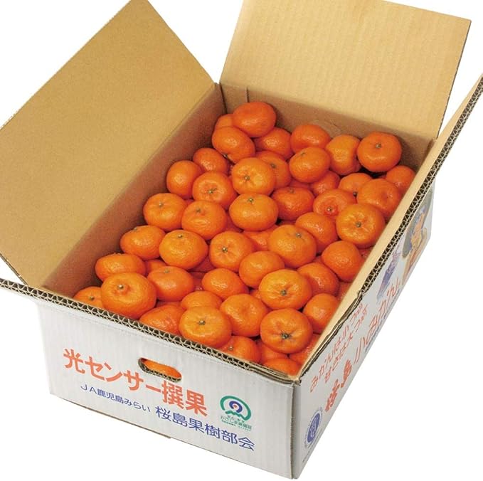Amazon 財宝 桜島小みかん 鹿児島産 4 財宝 みかん 柑橘類 通販