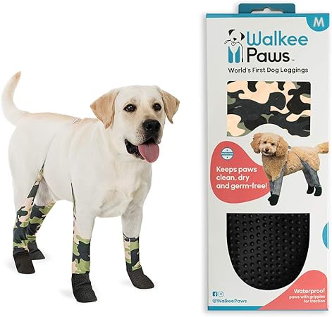 dry dog walks near me