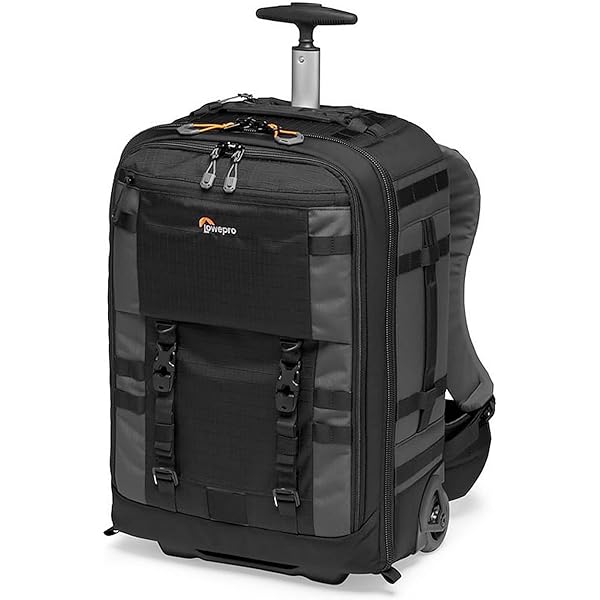 Amazon.com: Lowepro Pro Trekker RLX 450 AW II 28L Camera Roller