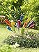 Gardener's Supply Company Classic Glass Bottle Tree Bush | Colorful Garden Decorative Bottle Holder & Outdoor Decor | Sturdy Powder Coated Steel Frame & Holds 12 Glass Bottles - (36