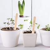 KINGLAKE 50Pcs Wooden Plant Labels with Marker Pen 11.4x1cm Birch Wood Tags view 5