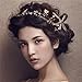 Sunshinesmile Wedding Bridal Gold Starfish Crystal Rhinestone Hair Accessories Headband Tiara